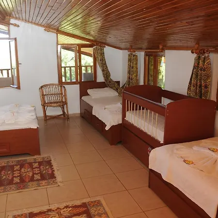 Telemenin Evi Vendégház *
