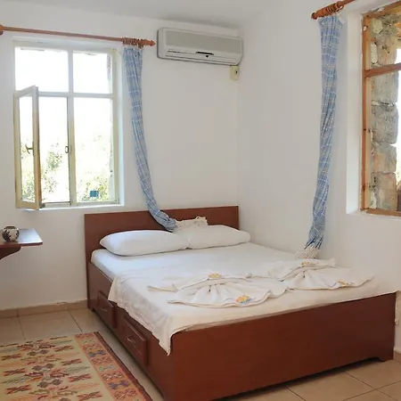Telemenin Evi