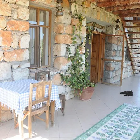 Telemenin Evi