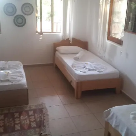Telemenin Evi *