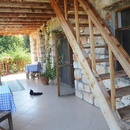 Telemenin Evi Penzion *