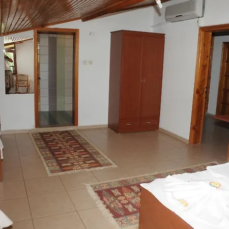 Telemenin Evi Penzion *