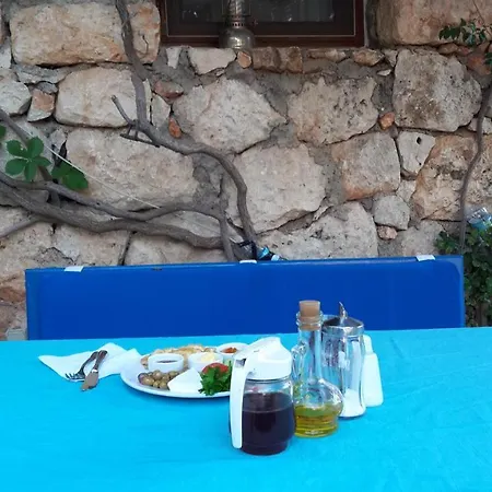 Telemenin Evi Penzion